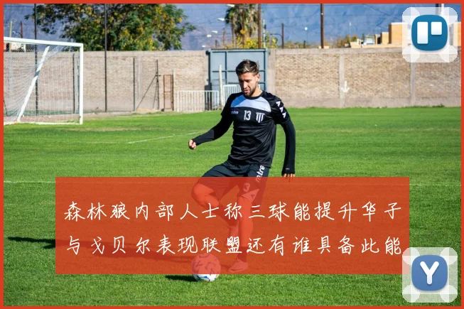 森林狼内部人士称三球能提升华子与戈贝尔表现联盟还有谁具备此能力